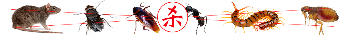 简介2.jpg